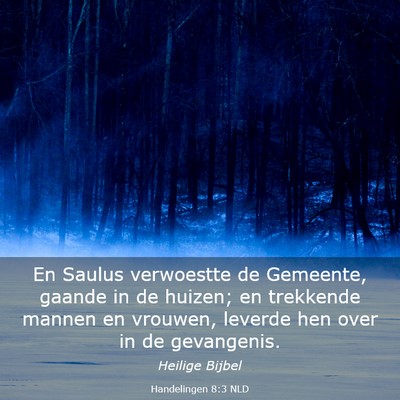 Picture 03 - Handelingen 8:3 NLD - En Saulus verwoestte de Gemeente, gaande in de - Bible Verse Picture