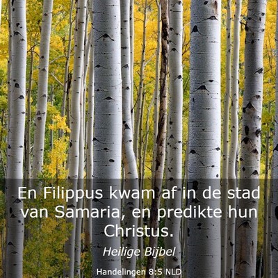 Picture 03 - Handelingen 8:5 NLD - En Filippus kwam af in de stad van Samaria, en - Bible Verse Picture