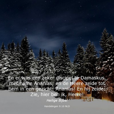Picture 03 - Handelingen 9:10 NLD - En er was een zeker discipel te Damaskus, met - Bible Verse Picture