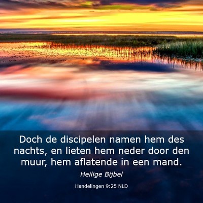 Picture 03 - Handelingen 9:25 NLD - Doch de discipelen namen hem des nachts, en - Bible Verse Picture