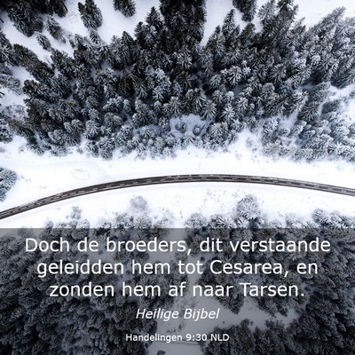 Picture 03 - Handelingen 9:30 NLD - Doch de broeders, dit verstaande geleidden hem - Bible Verse Picture