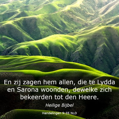 Picture 03 - Handelingen 9:35 NLD - En zij zagen hem allen, die te Lydda en Sarona - Bible Verse Picture