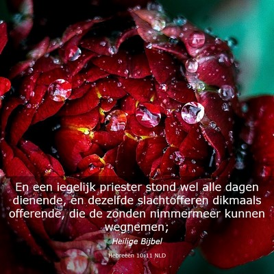 Picture 03 - Hebreeën 10:11 NLD - En een iegelijk priester stond wel alle dagen - Bible Verse Picture