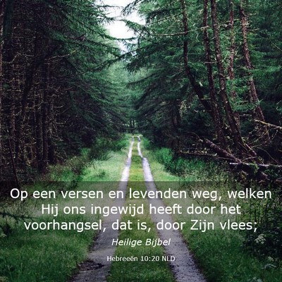 Picture 03 - Hebreeën 10:20 NLD - Op een versen en levenden weg, welken Hij ons - Bible Verse Picture