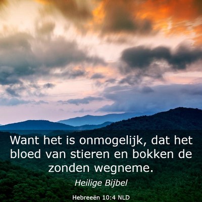 Picture 03 - Hebreeën 10:4 NLD - Want het is onmogelijk, dat het bloed van stieren - Bible Verse Picture