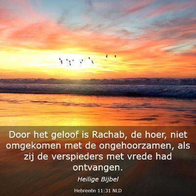 Picture 03 - Hebreeën 11:31 NLD - Door het geloof is Rachab, de hoer, niet - Bible Verse Picture
