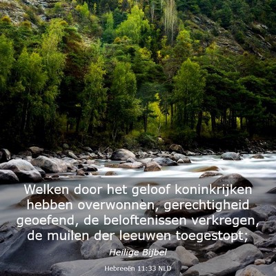 Picture 03 - Hebreeën 11:33 NLD - Welken door het geloof koninkrijken hebben - Bible Verse Picture