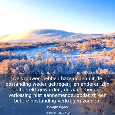 Picture 03 - Hebreeën 11:35 NLD - De vrouwen hebben hare doden uit de opstanding - Bible Verse Picture