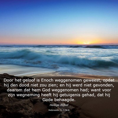Picture 03 - Hebreeën 11:5 NLD - Door het geloof is Enoch weggenomen geweest, - Bible Verse Picture