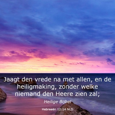 Picture 03 - Hebreeën 12:14 NLD - Jaagt den vrede na met allen, en de heiligmaking, - Bible Verse Picture