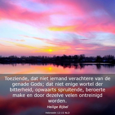 Picture 03 - Hebreeën 12:15 NLD - Toeziende, dat niet iemand verachtere van de - Bible Verse Picture