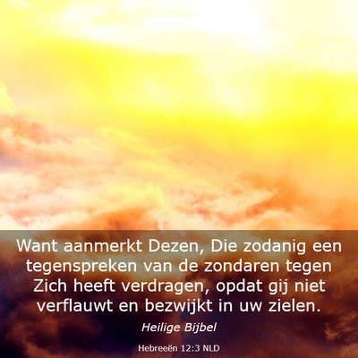 Picture 03 - Hebreeën 12:3 NLD - Want aanmerkt Dezen, Die zodanig een tegenspreken - Bible Verse Picture