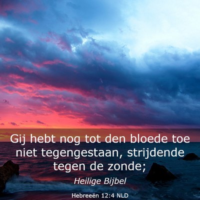Picture 03 - Hebreeën 12:4 NLD - Gij hebt nog tot den bloede toe niet - Bible Verse Picture