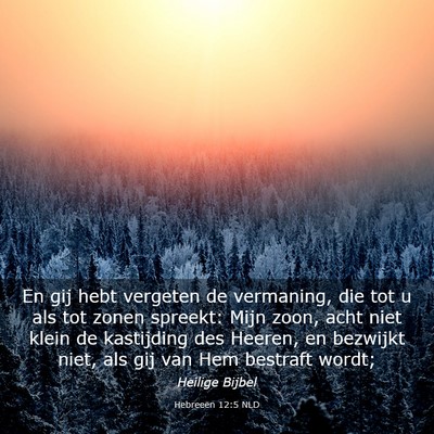 Picture 03 - Hebreeën 12:5 NLD - En gij hebt vergeten de vermaning, die tot u als - Bible Verse Picture