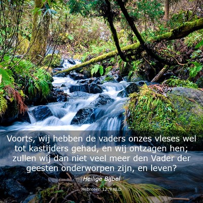 Picture 03 - Hebreeën 12:9 NLD - Voorts, wij hebben de vaders onzes vleses wel tot - Bible Verse Picture