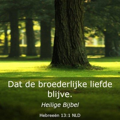 Picture 03 - Hebreeën 13:1 NLD - Dat de broederlijke liefde - Bible Verse Picture