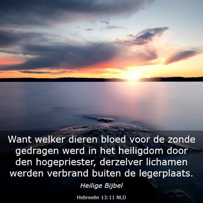 Picture 03 - Hebreeën 13:11 NLD - Want welker dieren bloed voor de zonde gedragen - Bible Verse Picture
