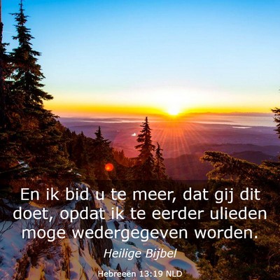 Picture 03 - Hebreeën 13:19 NLD - En ik bid u te meer, dat gij dit doet, opdat ik - Bible Verse Picture