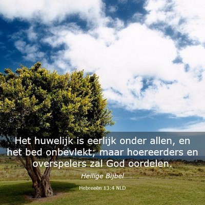 Picture 03 - Hebreeën 13:4 NLD - Het huwelijk is eerlijk onder allen, en het bed - Bible Verse Picture
