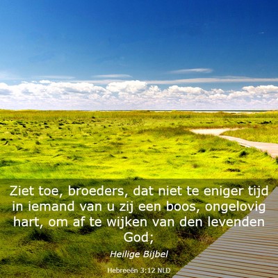 Picture 03 - Hebreeën 3:12 NLD - Ziet toe, broeders, dat niet te eniger tijd in - Bible Verse Picture