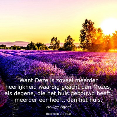 Picture 03 - Hebreeën 3:3 NLD - Want Deze is zoveel meerder heerlijkheid waardig - Bible Verse Picture