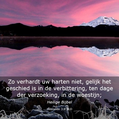 Picture 03 - Hebreeën 3:8 NLD - Zo verhardt uw harten niet, gelijk het geschied - Bible Verse Picture