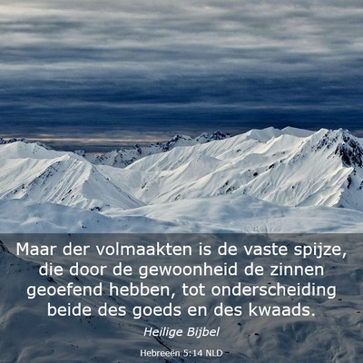 Picture 03 - Hebreeën 5:14 NLD - Maar der volmaakten is de vaste spijze, die door - Bible Verse Picture