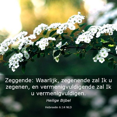 Picture 03 - Hebreeën 6:14 NLD - Zeggende: Waarlijk, zegenende zal Ik u zegenen, - Bible Verse Picture