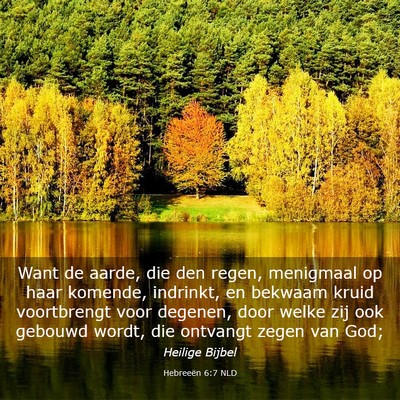 Picture 03 - Hebreeën 6:7 NLD - Want de aarde, die den regen, menigmaal op haar - Bible Verse Picture