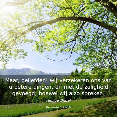 Picture 03 - Hebreeën 6:9 NLD - Maar, geliefden! wij verzekeren ons van u betere - Bible Verse Picture