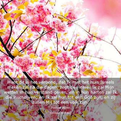 Picture 03 - Hebreeën 8:10 NLD - Want dit is het verbond, dat Ik met het huis - Bible Verse Picture