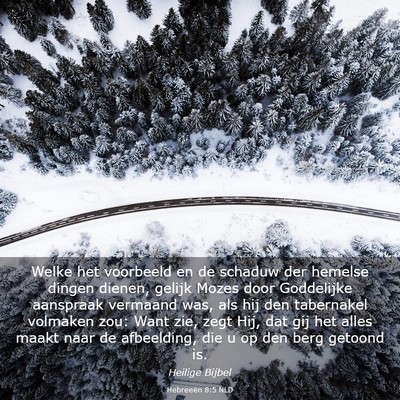 Picture 03 - Hebreeën 8:5 NLD - Welke het voorbeeld en de schaduw der hemelse - Bible Verse Picture