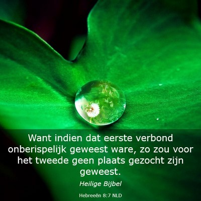 Picture 03 - Hebreeën 8:7 NLD - Want indien dat eerste verbond onberispelijk - Bible Verse Picture