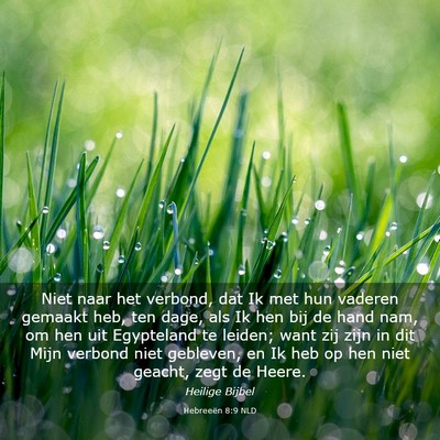 Picture 03 - Hebreeën 8:9 NLD - Niet naar het verbond, dat Ik met hun vaderen - Bible Verse Picture