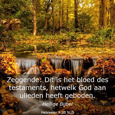 Picture 03 - Hebreeën 9:20 NLD - Zeggende: Dit is het bloed des testaments, - Bible Verse Picture