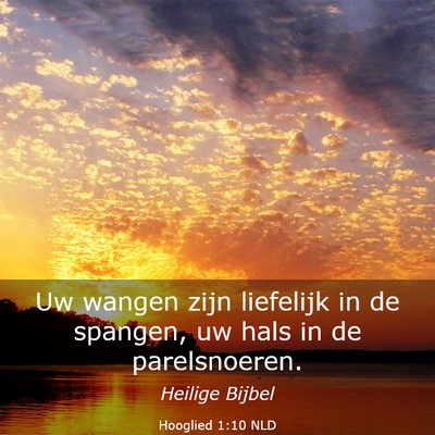 Picture 03 - Hooglied 1:10 NLD - Uw wangen zijn liefelijk in de spangen, uw hals - Bible Verse Picture