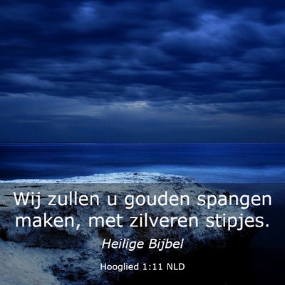 Picture 03 - Hooglied 1:11 NLD - Wij zullen u gouden spangen maken, met zilveren - Bible Verse Picture