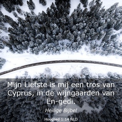 Picture 03 - Hooglied 1:14 NLD - Mijn Liefste is mij een tros van Cyprus, in de - Bible Verse Picture