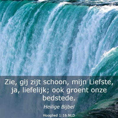 Picture 03 - Hooglied 1:16 NLD - Zie, gij zijt schoon, mijn Liefste, ja, - Bible Verse Picture