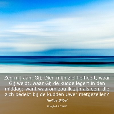 Picture 03 - Hooglied 1:7 NLD - Zeg mij aan, Gij, Dien mijn ziel liefheeft, waar - Bible Verse Picture