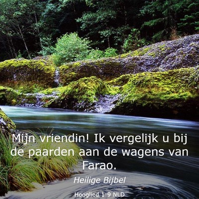 Picture 03 - Hooglied 1:9 NLD - Mijn vriendin! Ik vergelijk u bij de paarden aan - Bible Verse Picture