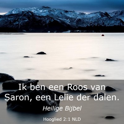Picture 03 - Hooglied 2:1 NLD - Ik ben een Roos van Saron, een Lelie der - Bible Verse Picture