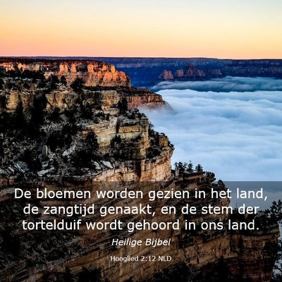 Picture 03 - Hooglied 2:12 NLD - De bloemen worden gezien in het land, de zangtijd - Bible Verse Picture