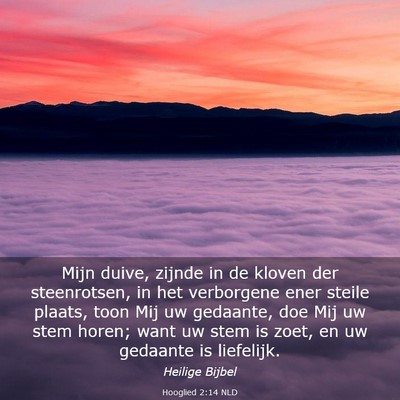 Picture 03 - Hooglied 2:14 NLD - Mijn duive, zijnde in de kloven der steenrotsen, - Bible Verse Picture