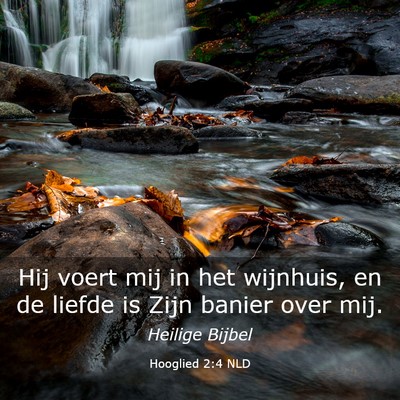 Picture 03 - Hooglied 2:4 NLD - Hij voert mij in het wijnhuis, en de liefde is - Bible Verse Picture