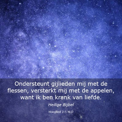 Picture 03 - Hooglied 2:5 NLD - Ondersteunt gijlieden mij met de flessen, - Bible Verse Picture