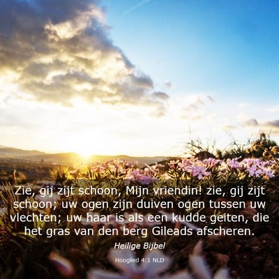 Picture 03 - Hooglied 4:1 NLD - Zie, gij zijt schoon, Mijn vriendin! zie, gij - Bible Verse Picture