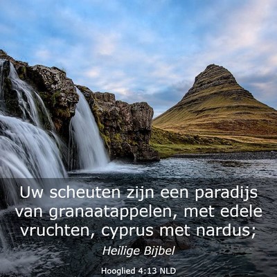 Picture 03 - Hooglied 4:13 NLD - Uw scheuten zijn een paradijs van granaatappelen, - Bible Verse Picture