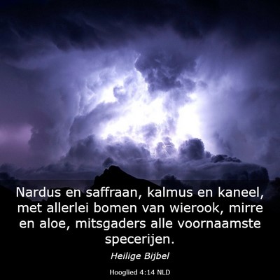 Picture 03 - Hooglied 4:14 NLD - Nardus en saffraan, kalmus en kaneel, met - Bible Verse Picture