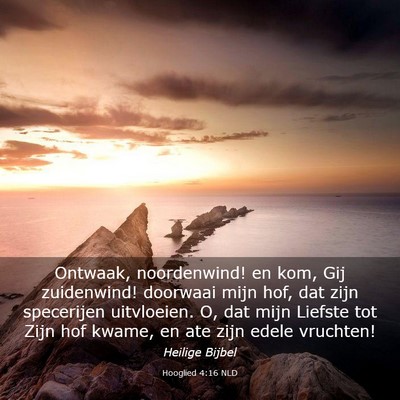 Picture 03 - Hooglied 4:16 NLD - Ontwaak, noordenwind! en kom, Gij zuidenwind! - Bible Verse Picture